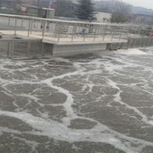 達州第三污水廠污泥處置30.0萬噸/日設(shè)施項目